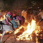 A Farmer runs his cattle over fire during Kanu Festival of Sankranti