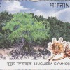 Bruguiera gymnorrhiza Stamp