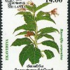 Ekaveriya Stamp