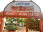 Monkey Food Center